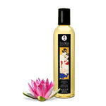 Масло для массажа Shunga Amour «Sweet Lotus», возбуждающее, 240 мл